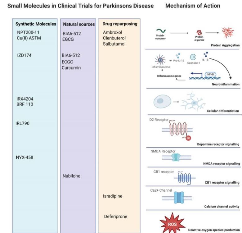 Drugs Against Parkinson&rsquo;s Disease-Small molecules